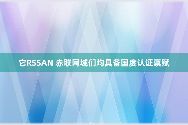它RSSAN 赤联网域们均具备国度认证禀赋